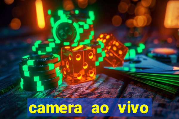 camera ao vivo porto de galinhas