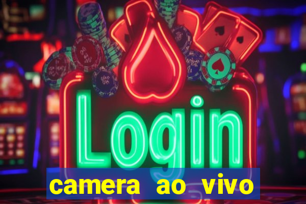 camera ao vivo porto de galinhas