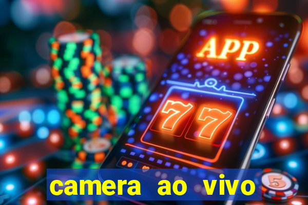 camera ao vivo porto de galinhas