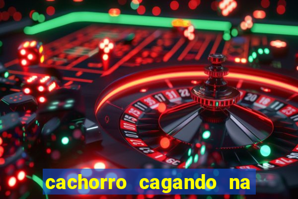 cachorro cagando na camisa do corinthians