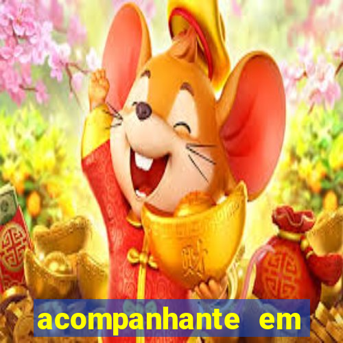 acompanhante em porto feliz