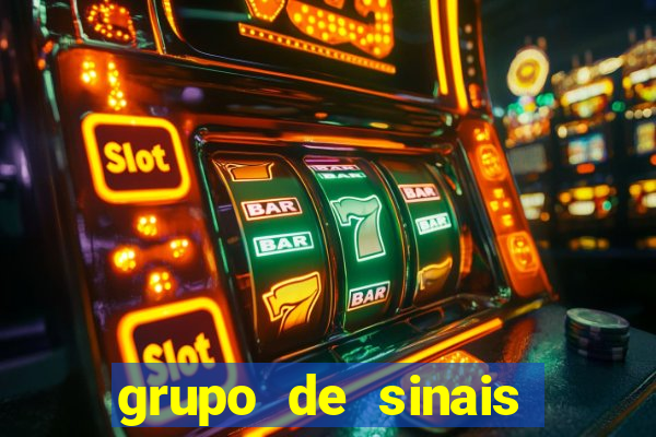 grupo de sinais fortune rabbit